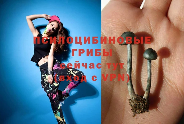 спиды Лабытнанги