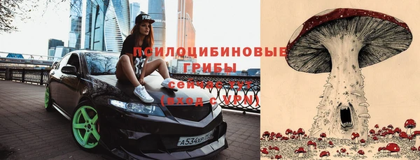 твердый Магадан