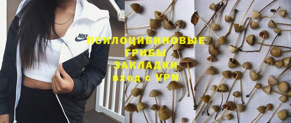 гидра Пенза