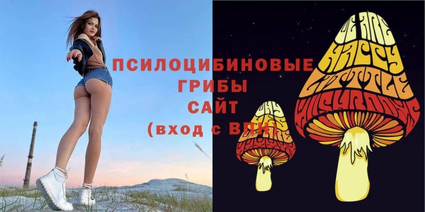 гашиш Магас