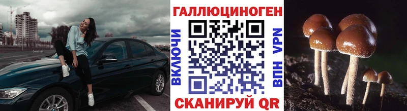 Псилоцибиновые грибы Psilocybe  omg   Кедровый 